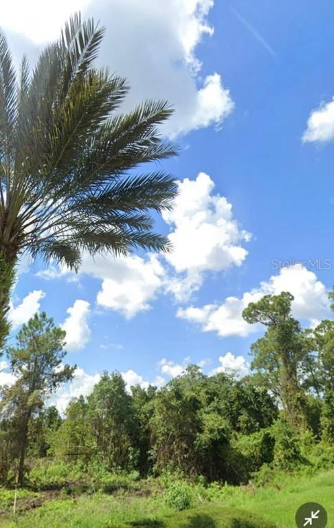 17157 Arrowhead Blvd., Winter Garden, FL 34787