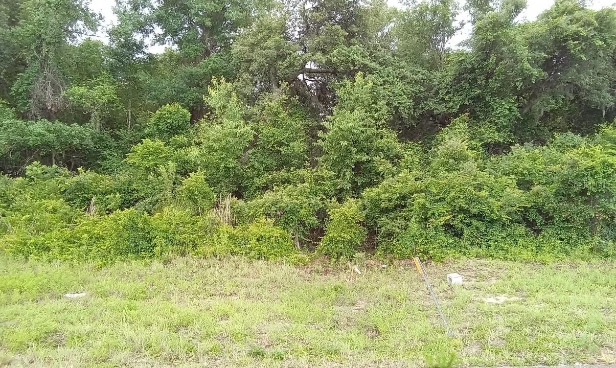 lot 19 SW 100th St., Ocala, FL 34476