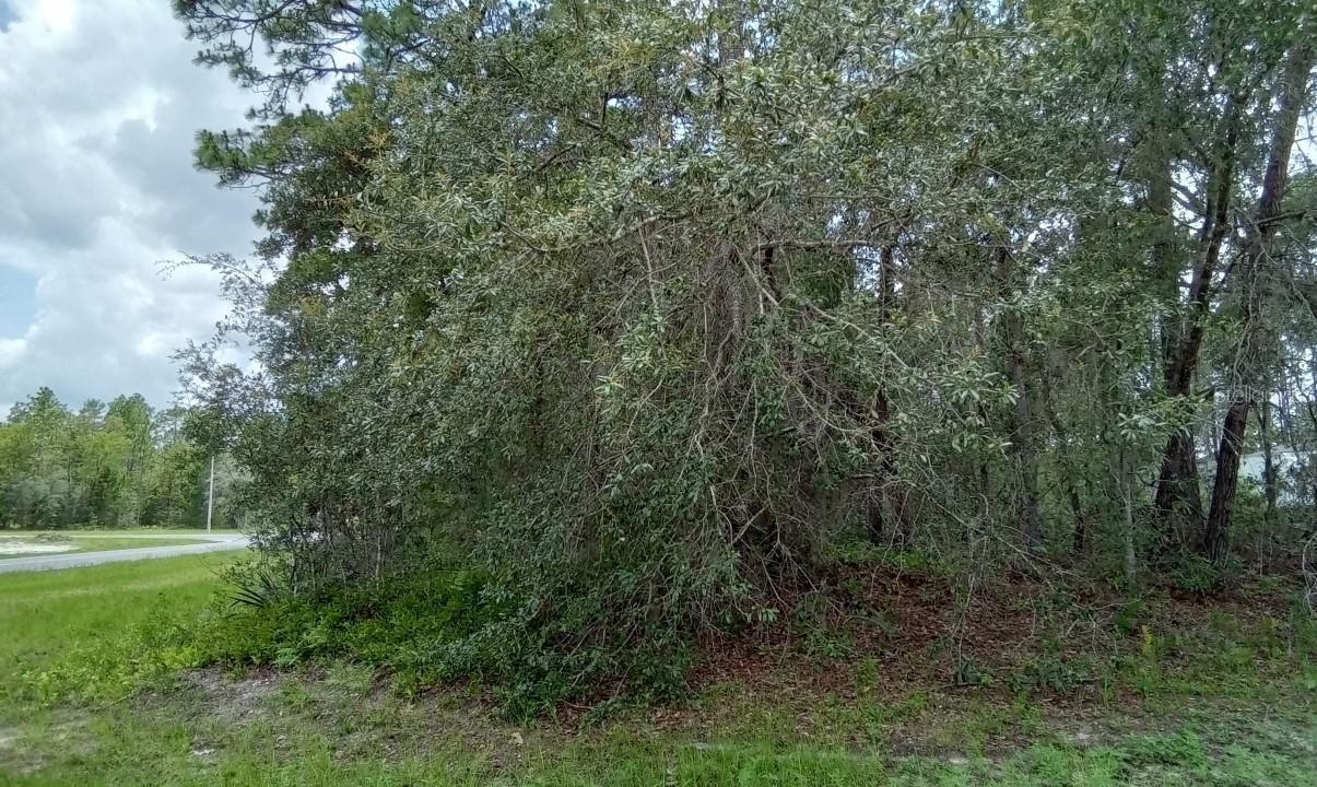SW 151 Ln., Ocala, FL 34473