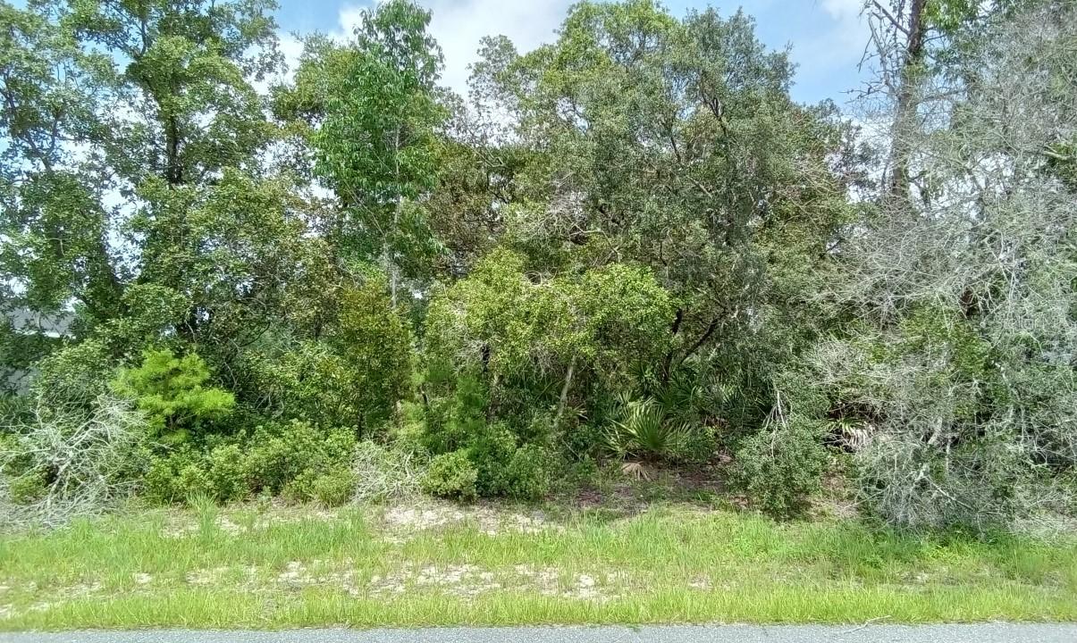 14421 SW 28th Ave., Ocala, FL 34473