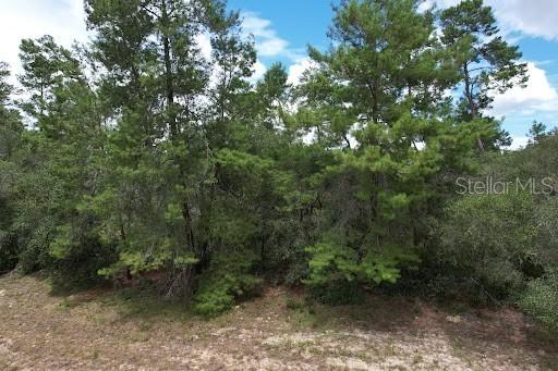 SW 30th Ter, Ocala, FL 34473