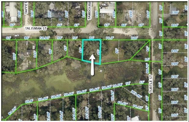 Talisman St., Dade City, FL 33523