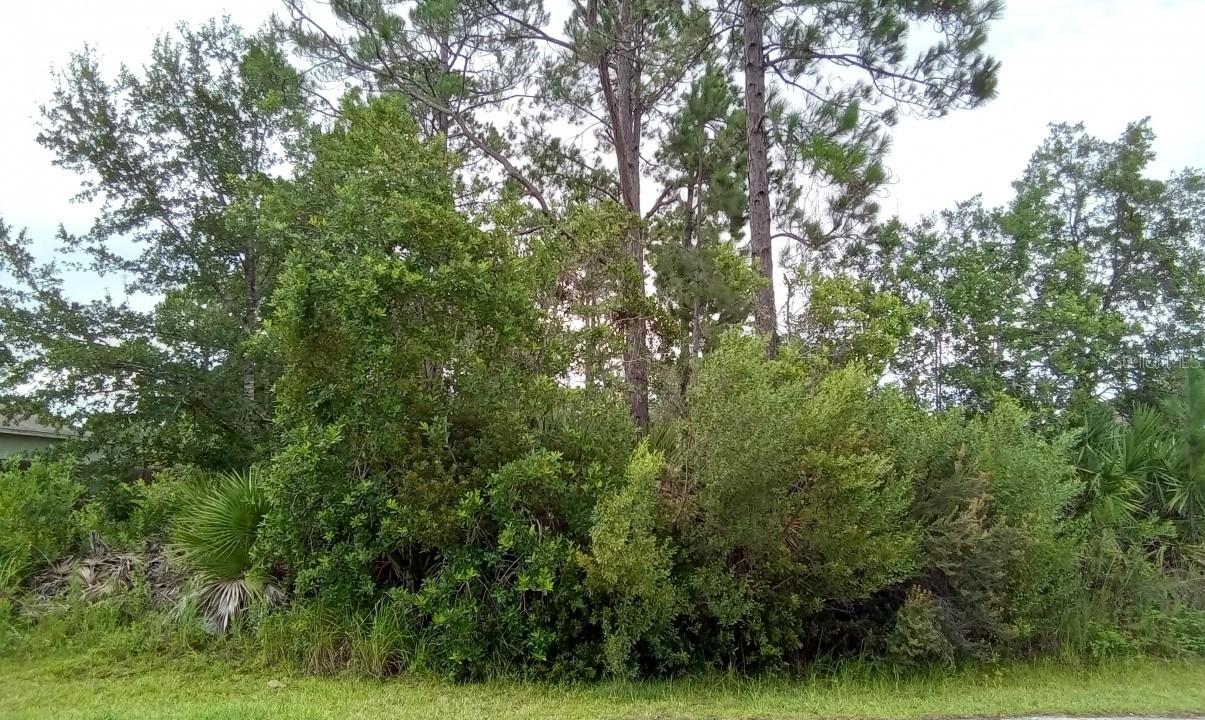 38 White Star Dr., Palm Coast, FL 32164