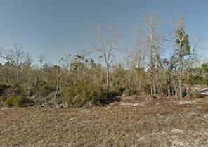 [Address Hidden by Seller], Interlachen, FL 32148