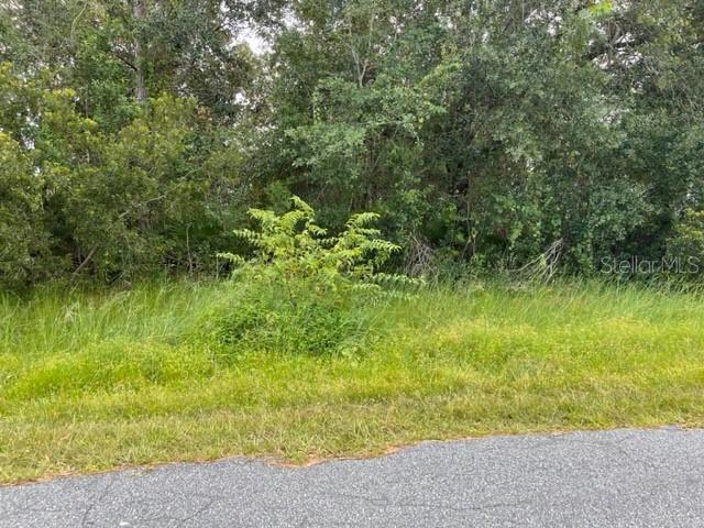 710 Robin Ct., Poinciana, FL 34759