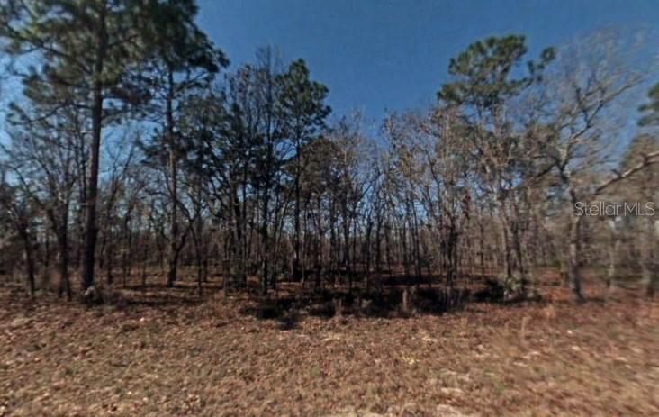 TBD Sw 57th Terrace Rd., Ocala, FL 34473