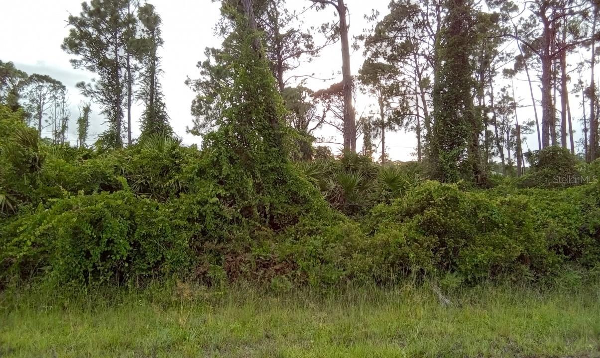 Tasco Dr. #lot-18, North Port, FL 34291