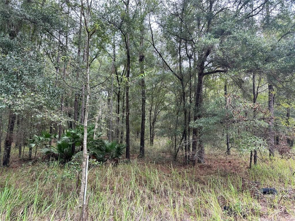 SW 38th Street Rd., Ocala, FL 34474