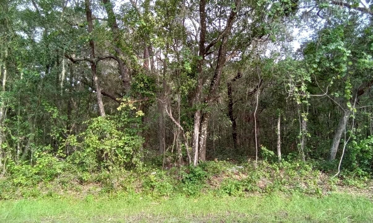 Locust Loop Loop, Ocala, FL 34472