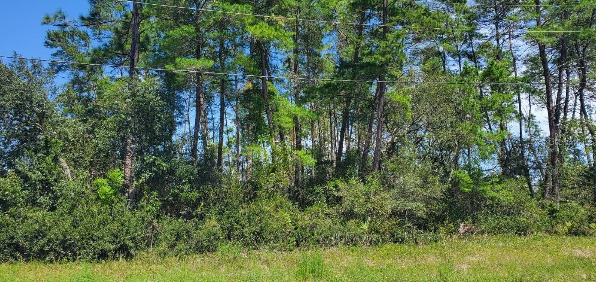 SW 171 Pl., Ocala, FL 34473