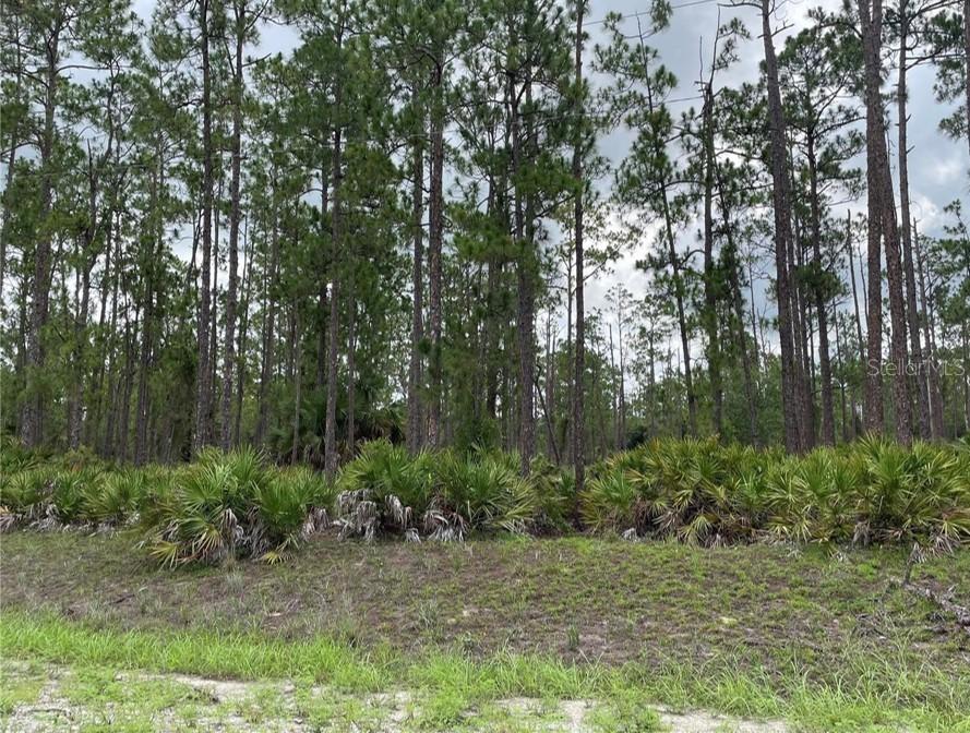 18 Wells Ave., Lehigh Acres, FL 33936