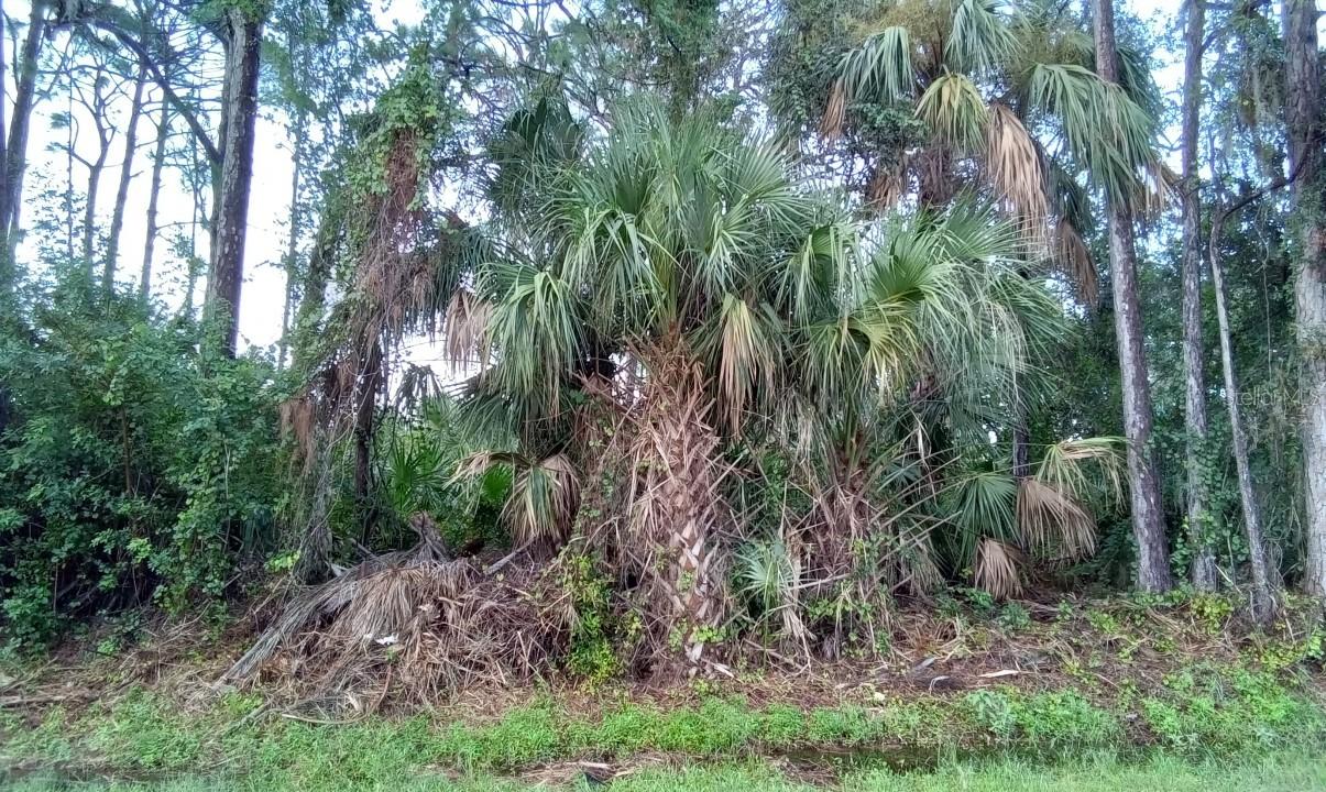 Simkins Ave., North Port, FL 34286