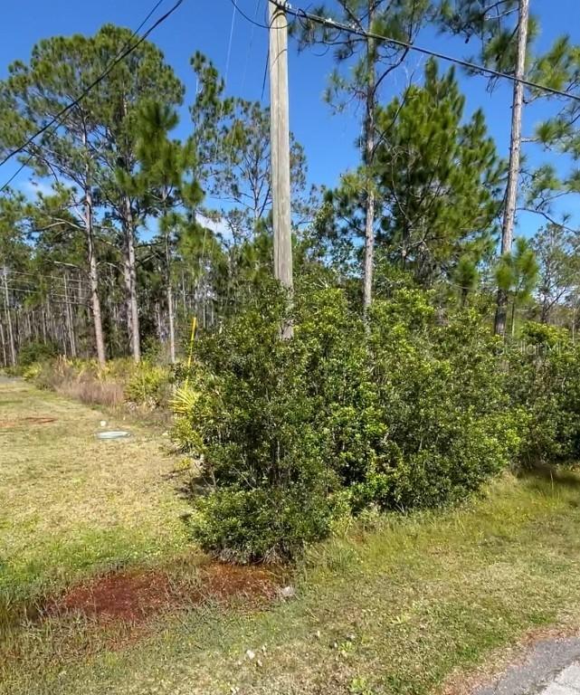 18 Slipper Orchid Tr., Palm Coast, FL 32137