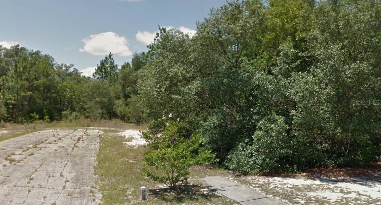 2451 W Menores Dr., Citrus Springs, FL 34434