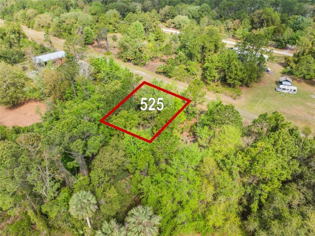 525 Gardenia Ave., Georgetown, FL 32139