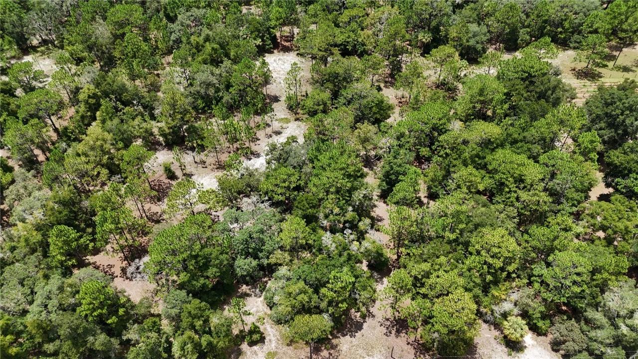 7416 N Nathan Point, Crystal River, FL 34428