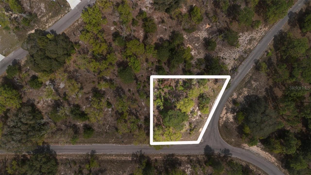 Guava Pass Way, Ocklawaha, FL 32179