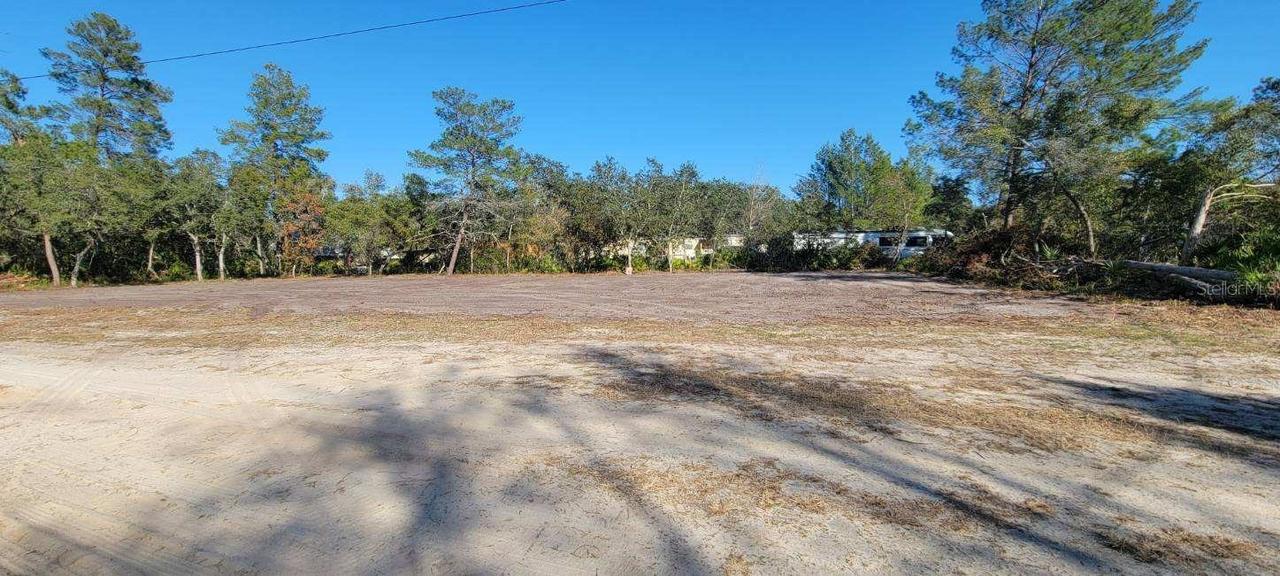 Lot 17-24 Palmetto St., Paisley, FL 32767