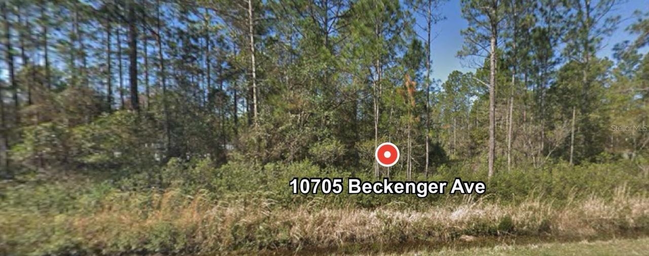 10705 Beckenger Ave., Hastings, FL 32145