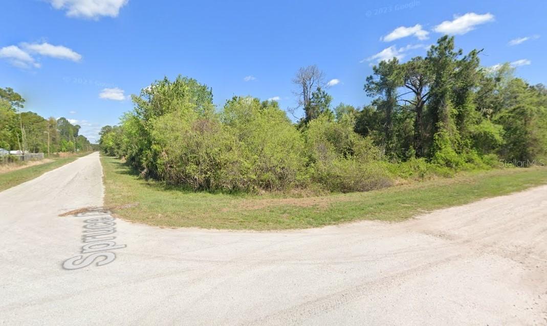 Lot 22 & Lot 21 Spruce Dr., Georgetown, FL 32139