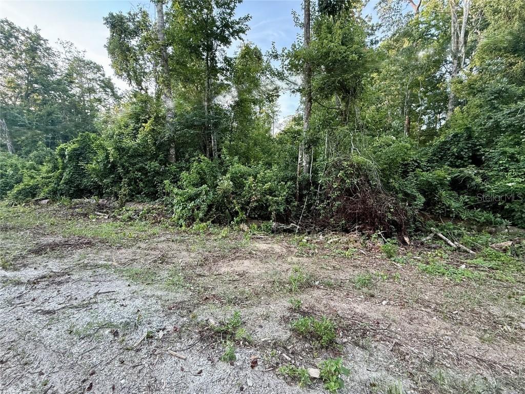Sweetwater Tr. #156, Kissimmee, FL 34747