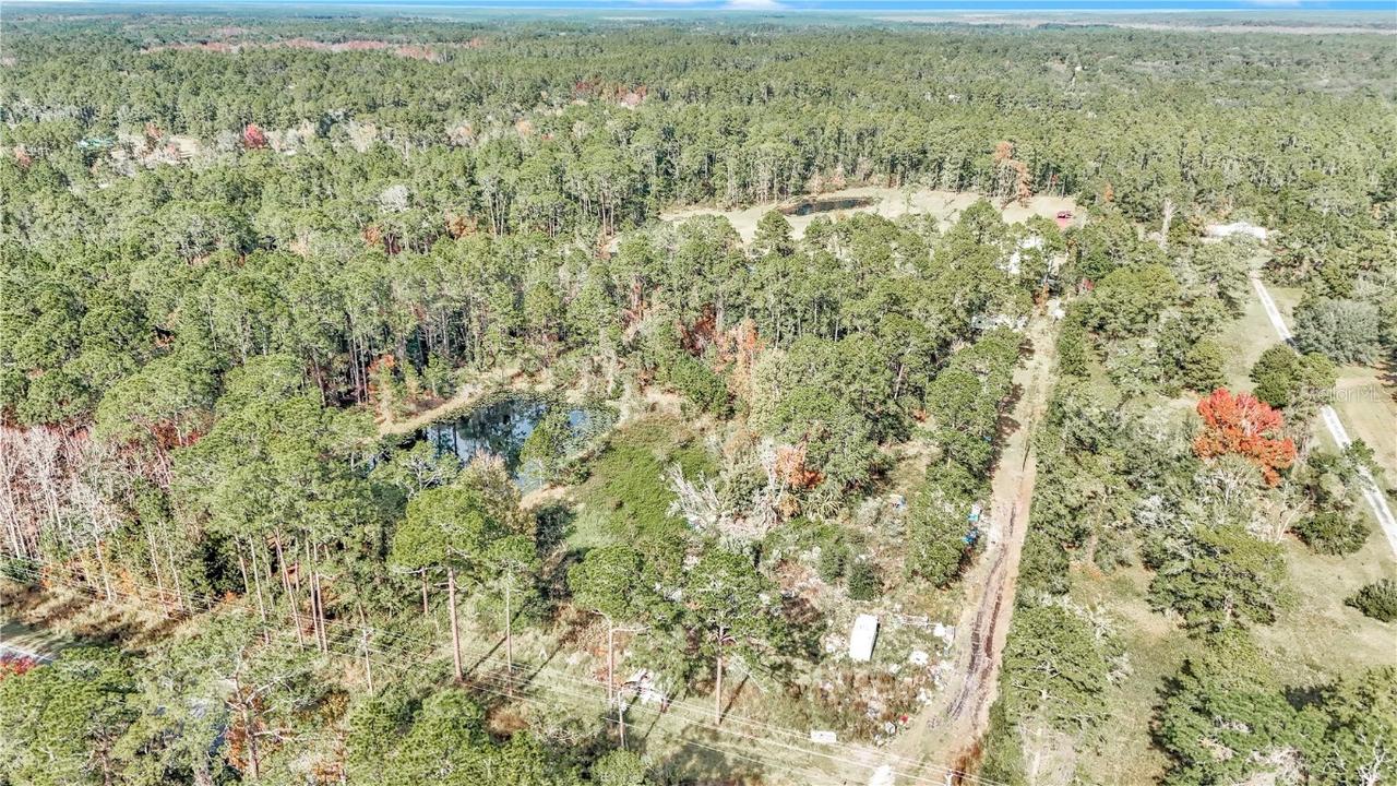 14497 E Highway 316, Fort Mc Coy, FL 32134