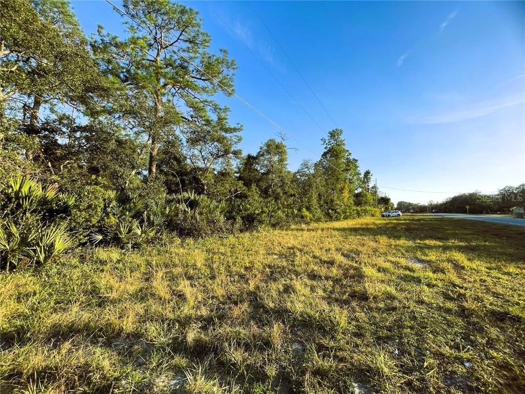 Sr-19, Altoona, FL 32702