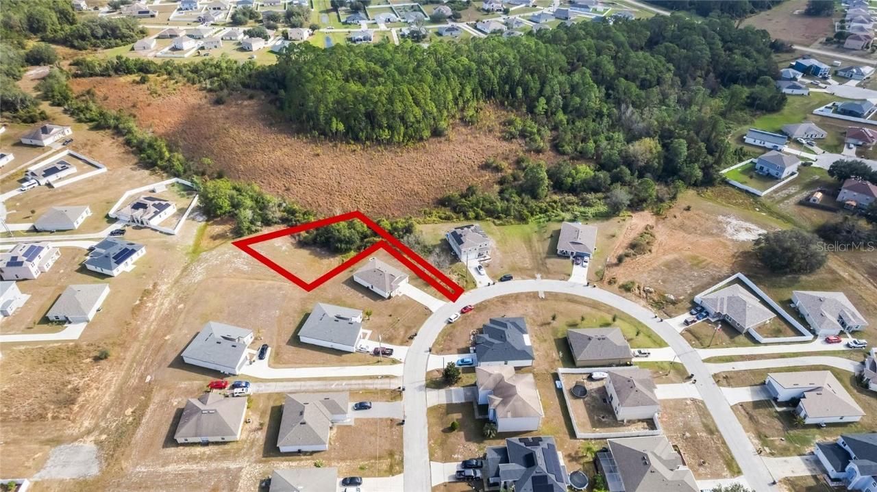 2165 Rio Grande Canyon Loop, Kissimmee, FL 34759
