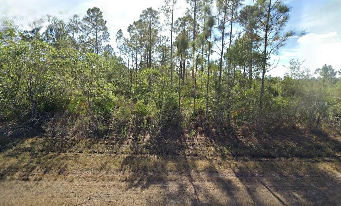 817 Calliandra Dr., Indian Lake Estates, FL 33855