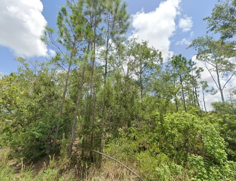 6388 Alan Blvd., Punta Gorda, FL 33982
