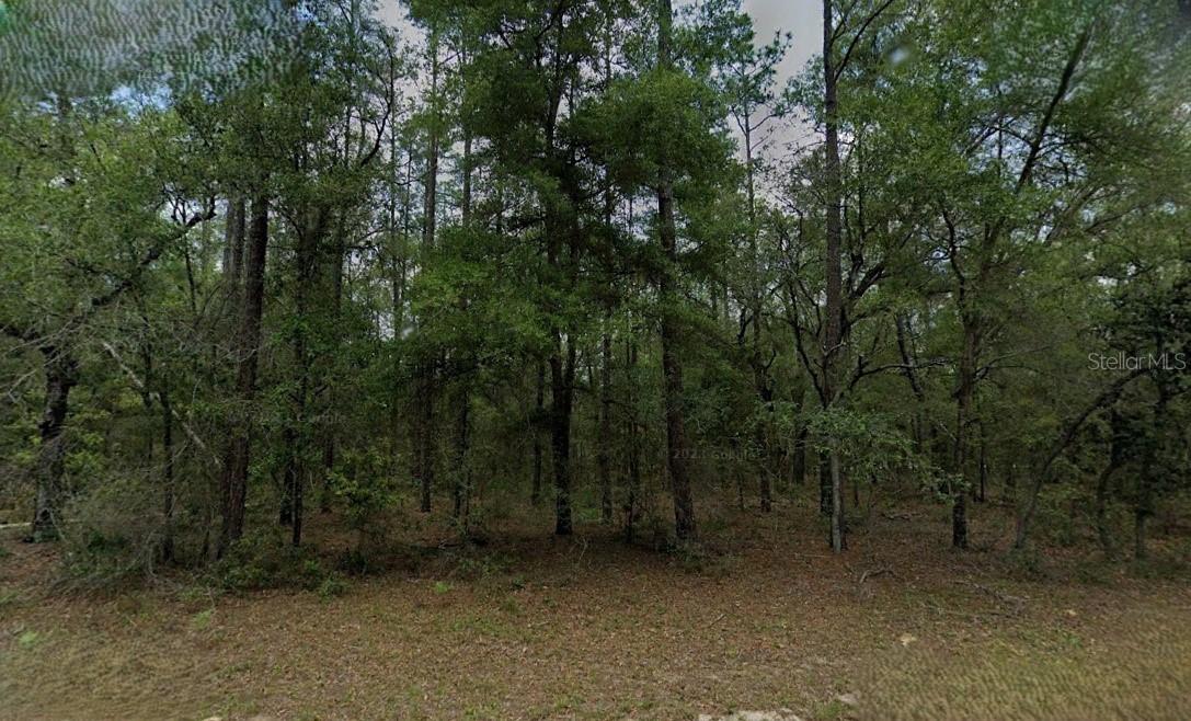 53 W Lynx Dr., Dunnellon, FL 34434