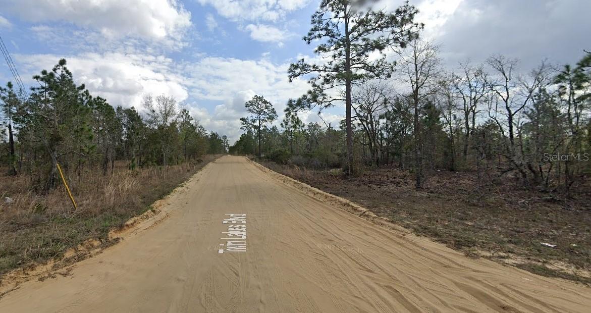 1137 Twin Lakes Blvd., Interlachen, FL 32148