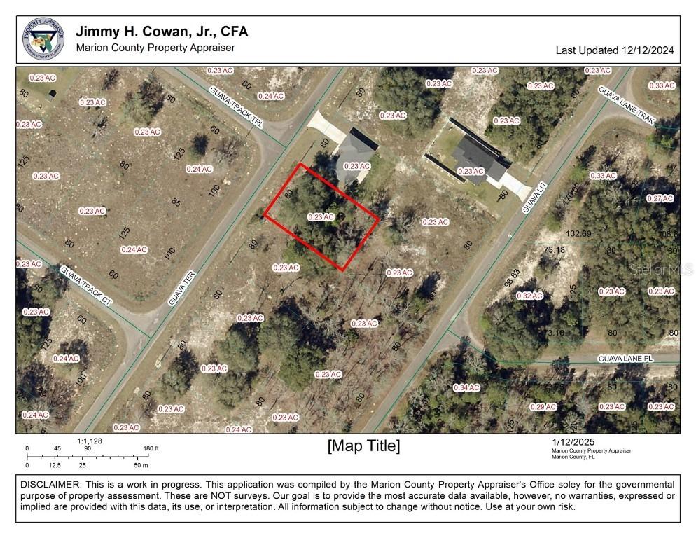 TBD Guava Ter., Ocklawaha, FL 32179