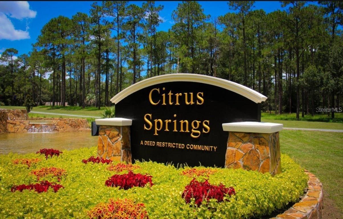 8161 N Merrimac Way, Citrus Springs, FL 34434