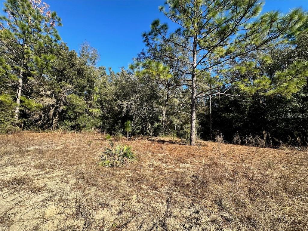 Lot 21 Sw 151st Terrace, Ocala, FL 34481