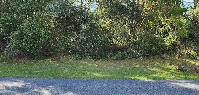 SW 170 Pl., Ocala, FL 34473