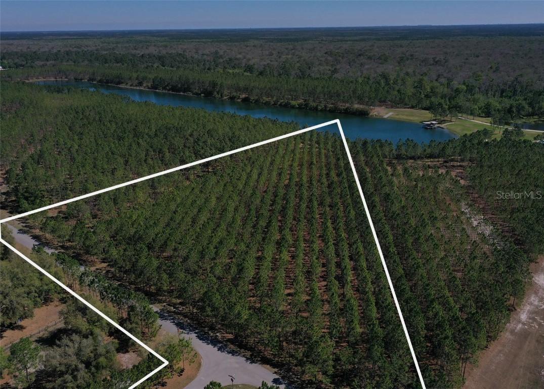 4115 Double Cut Dr., Deland, FL 32724