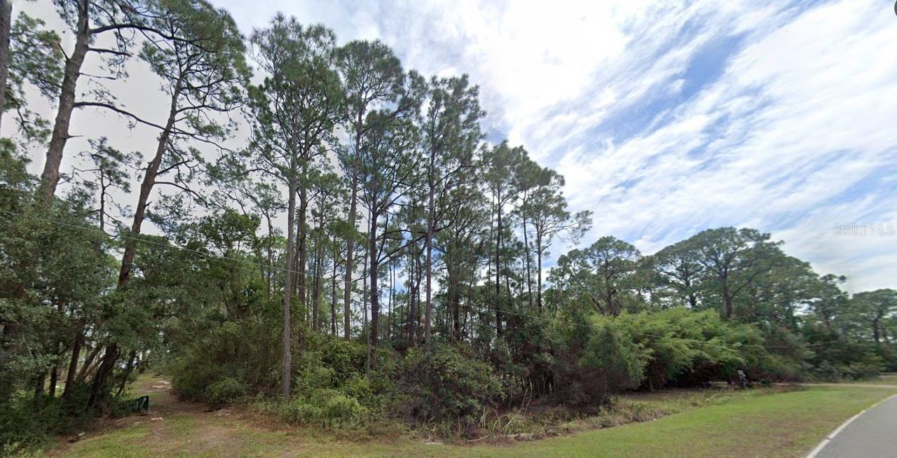 220 Levy Bay Rd., Panacea, FL 32346