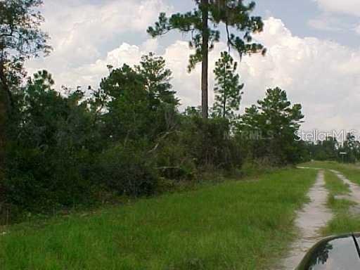 528 Parakeet Ave., Sebring, FL 33872