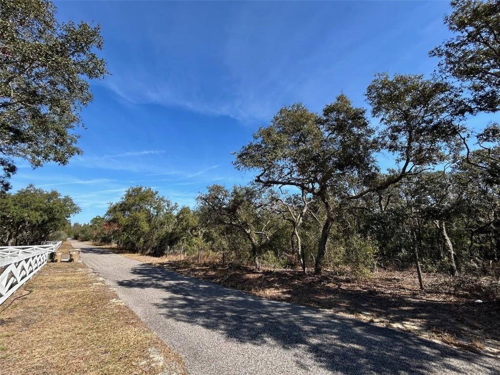Black Bear Ln., Winter Garden, FL 34787