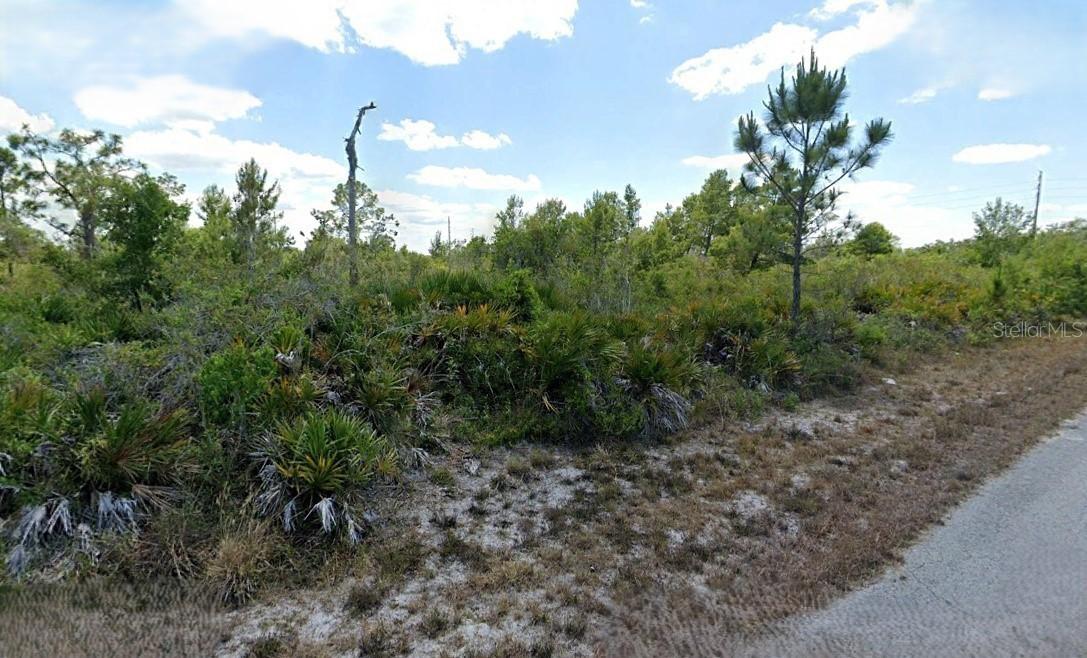 3546 Rhododendron Rd., Lake Placid, FL 33852