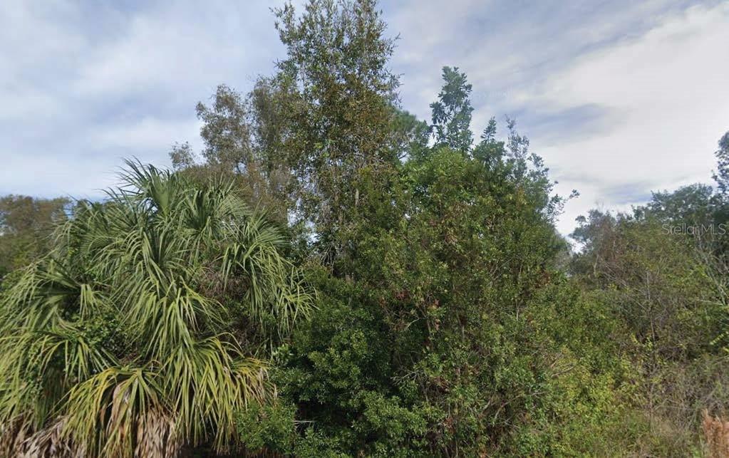 201 N Yellowtail Ln., Punta Gorda, FL 33982