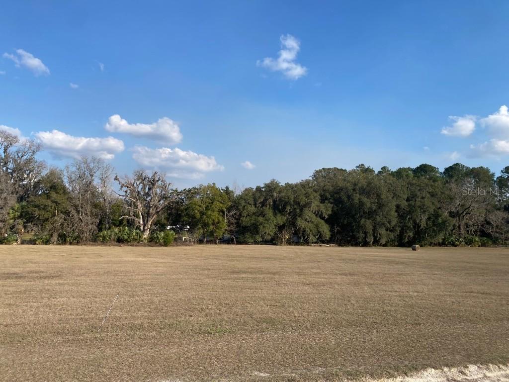 TBD NW Hwy 316 Sugar Woods Lot#15, Reddick, FL 32686
