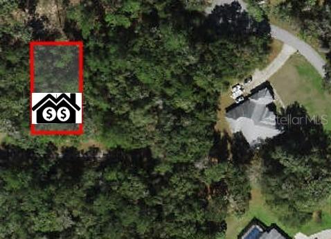 297 W Whitmarsh Ct., Dunnellon, FL 34434