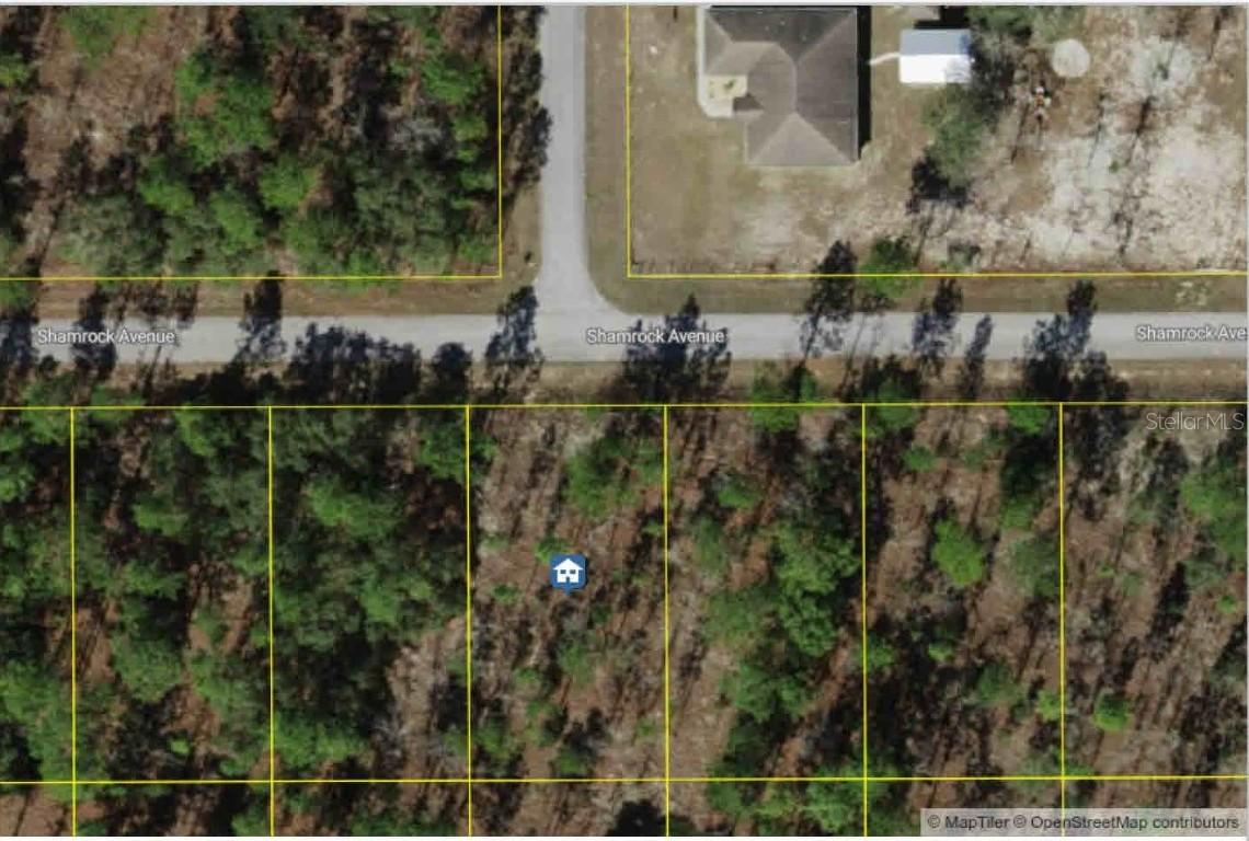 Lot 9 NW Shamrock Ave., Dunnellon, FL 34431