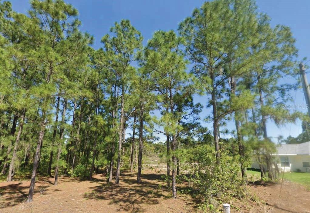 651 Lynn Dr., Lake Placid, FL 33852