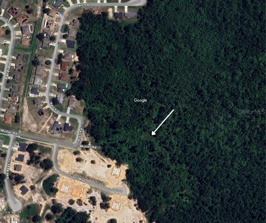 Perch Dr., Kissimmee, FL 34759
