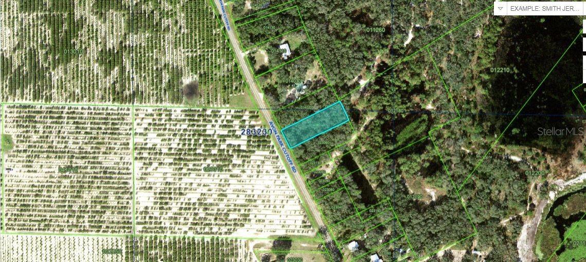 Avon Park Cutoff Rd., Frostproof, FL 33843