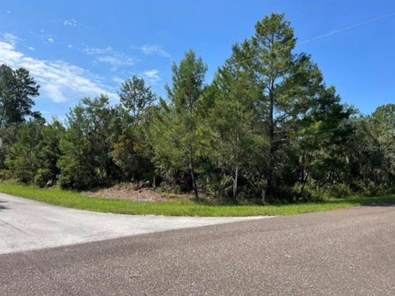 New Homes For Sale This Week That Attend Seminole Springs Elementary School: February 14th to February 20th