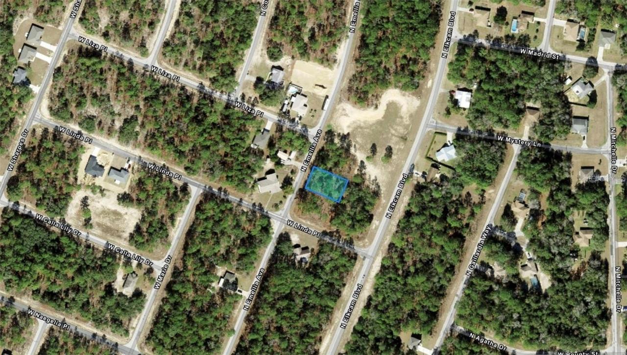 9751 N Emellia Ave., Citrus Springs, FL 34434